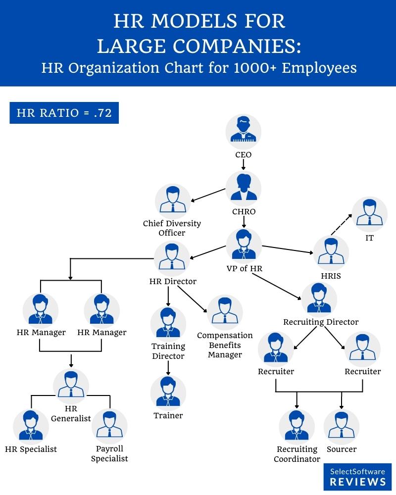 HR Organization Structure & Chart (Examples + Types) SSR